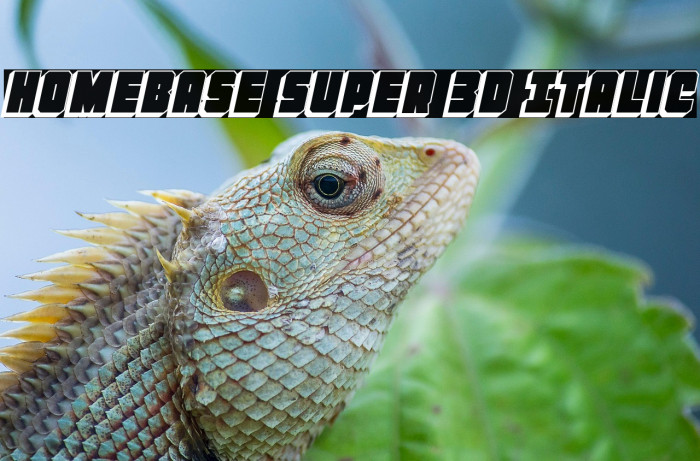 Homebase Super 3D Italic Example 1