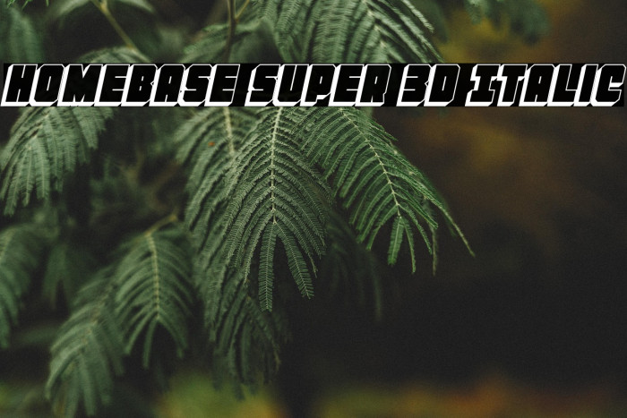 Homebase Super 3D Italic Example 2