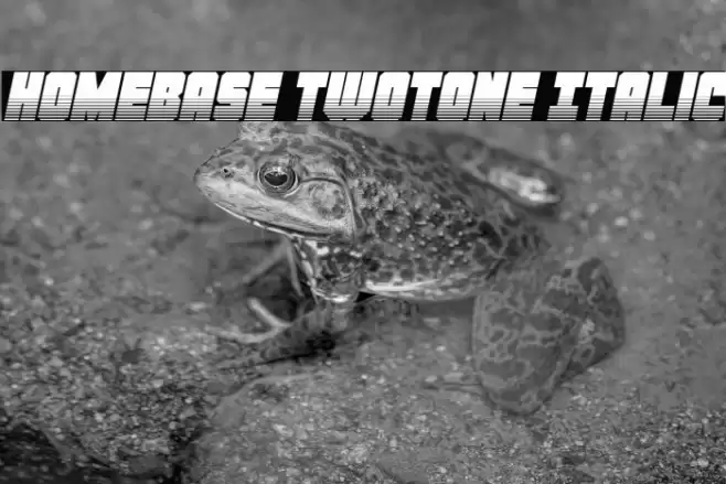 Homebase Twotone Italic Font examples