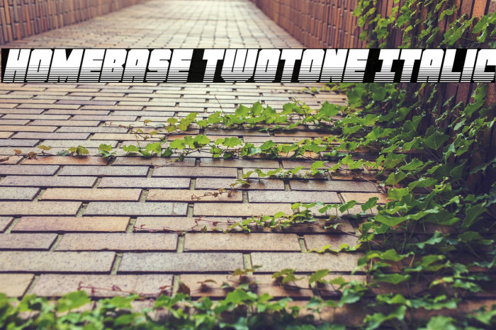 Homebase Twotone Italic Example 3