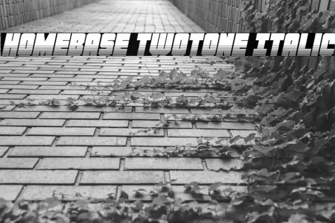 Homebase Twotone Italic Font examples