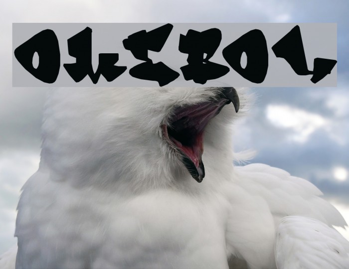 Homeboy Font examples