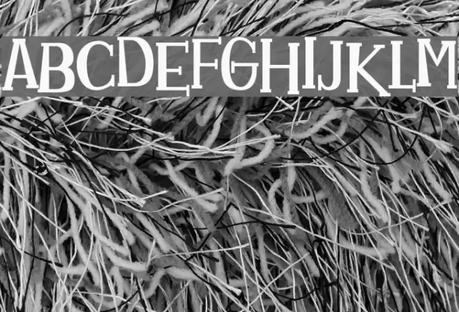 Homeboyz Font examples