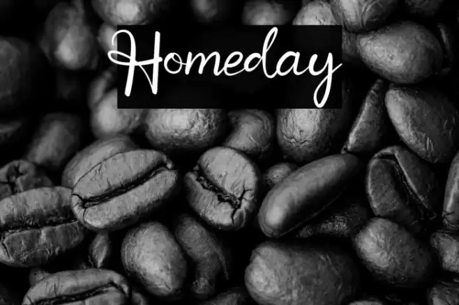 Homeday Font examples