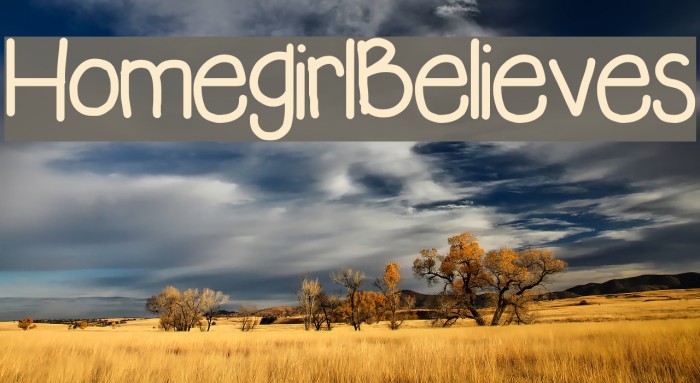 HomegirlBelieves Font examples