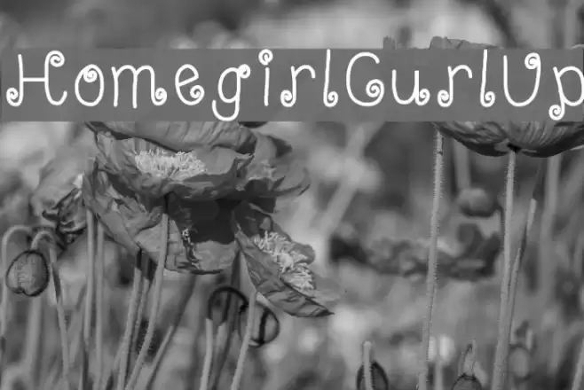 HomegirlCurlUp Font examples