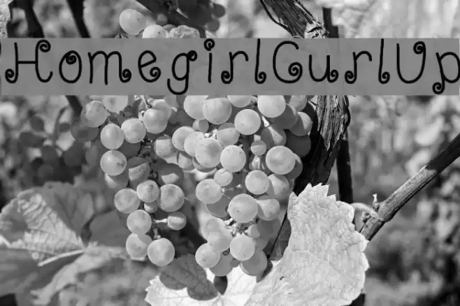 HomegirlCurlUp Font examples