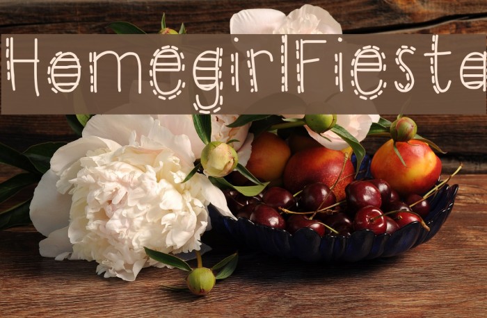 HomegirlFiesta Example 1