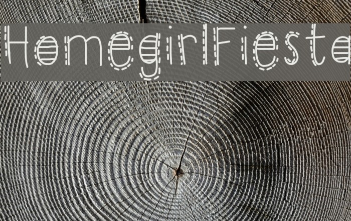 HomegirlFiesta Example 3