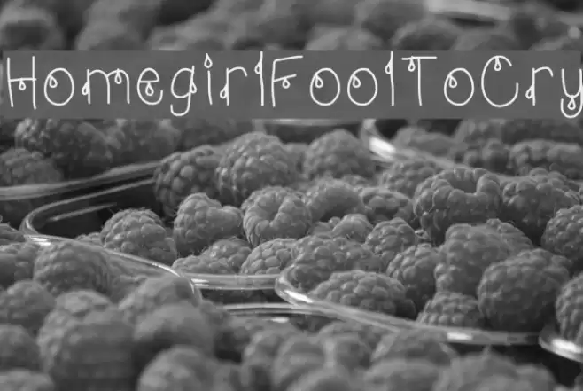 HomegirlFoolToCry Font examples