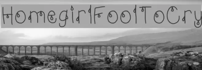 HomegirlFoolToCry Font examples
