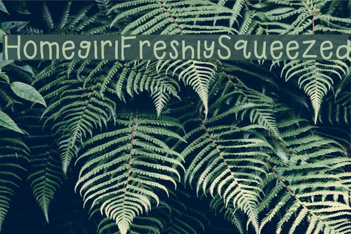 HomegirlFreshlySqueezed Font examples
