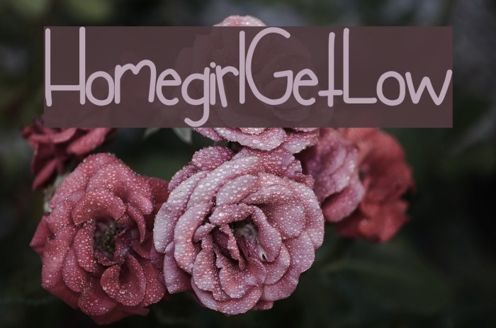 HomegirlGetLow Font examples