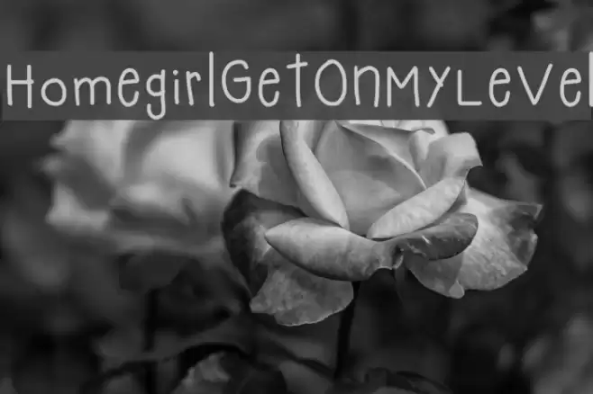 HomegirlGetOnMyLevel Font examples