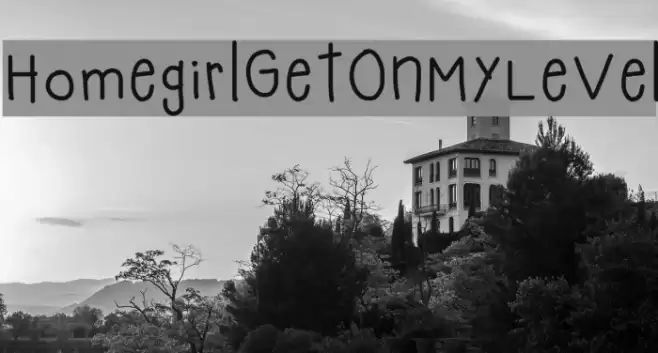 HomegirlGetOnMyLevel Font examples