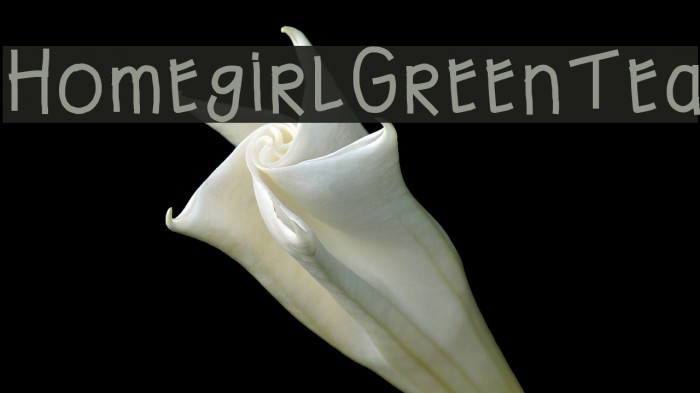 HomegirlGreenTea Font examples
