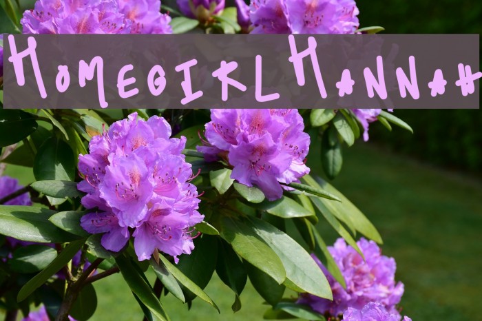 HomegirlHannah Example 1