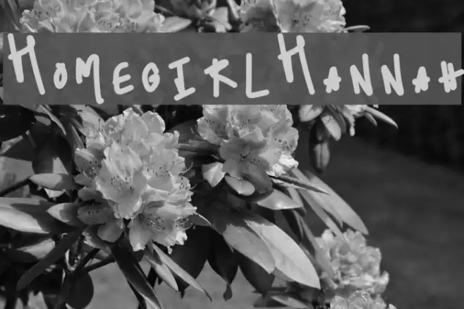 HomegirlHannah Font examples