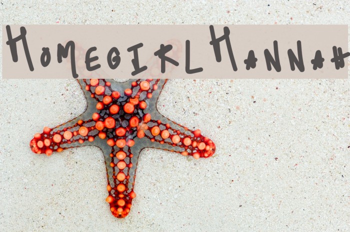 HomegirlHannah Example 2