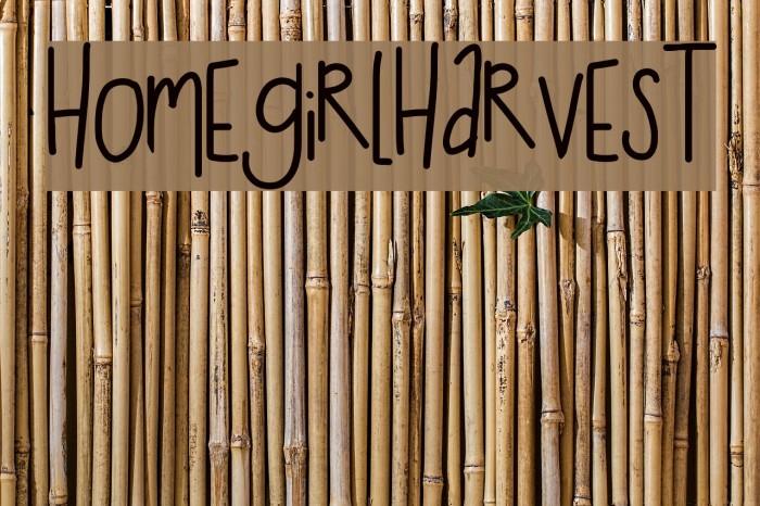 HomegirlHarvest Font examples