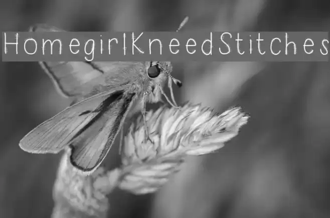 HomegirlKneedStitches Font examples