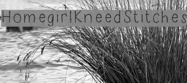 HomegirlKneedStitches Font examples