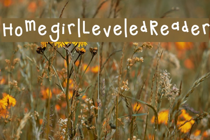 HomegirlLeveledReader Example 2