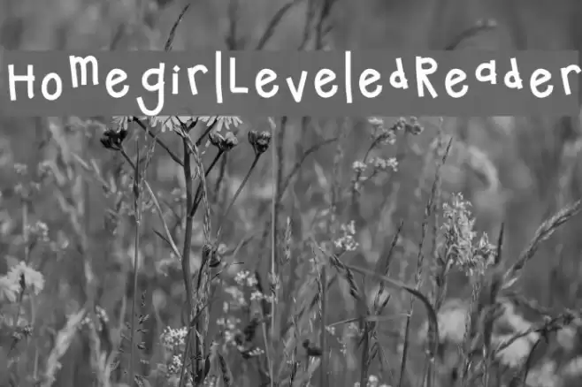 HomegirlLeveledReader Font examples