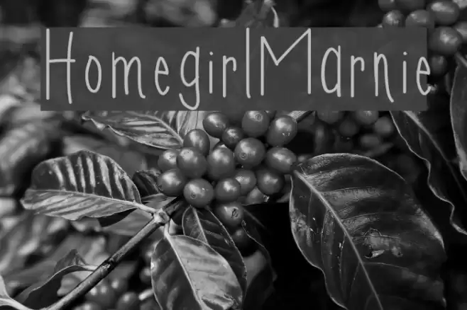 HomegirlMarnie Font examples