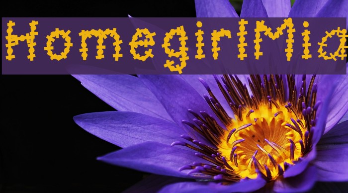 HomegirlMia Example 2