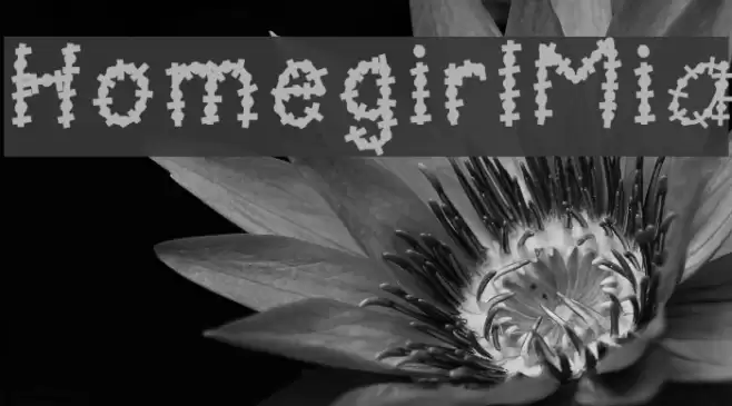 HomegirlMia Font examples