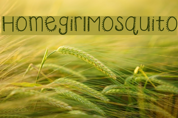 HomegirlMosquito Font examples