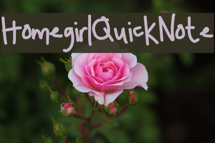 HomegirlQuickNote Font examples