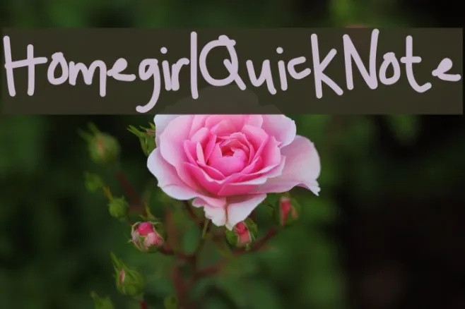 HomegirlQuickNote Example 1