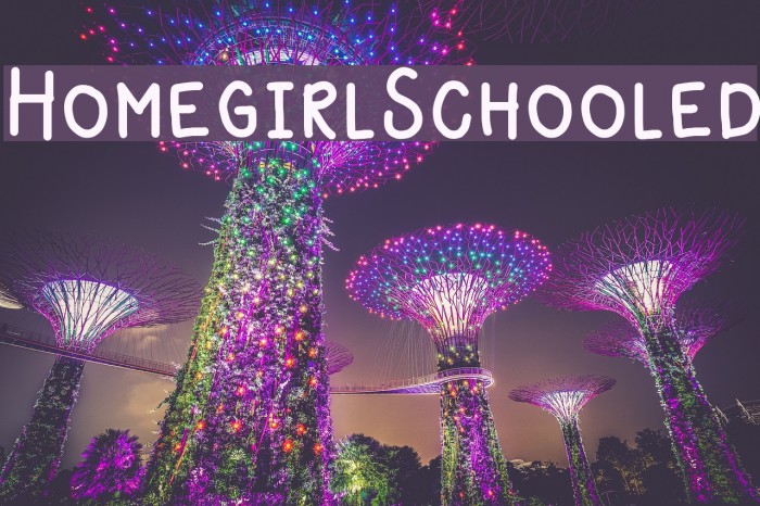 HomegirlSchooled Example 2