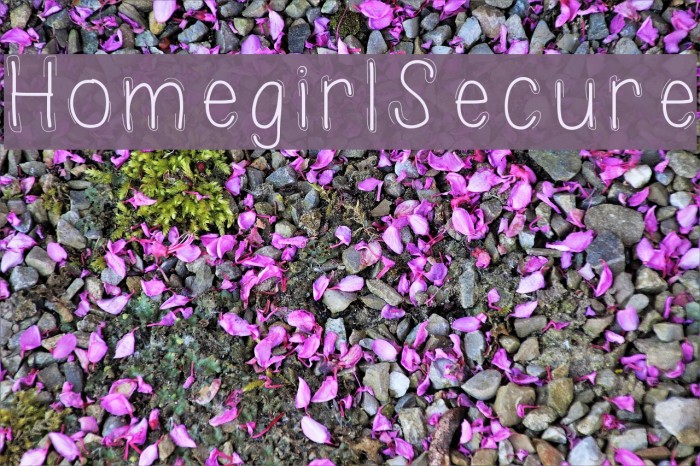 HomegirlSecure Font examples