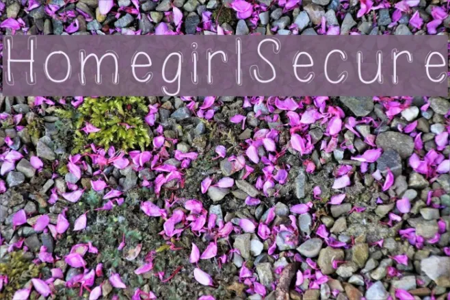 HomegirlSecure Example 3