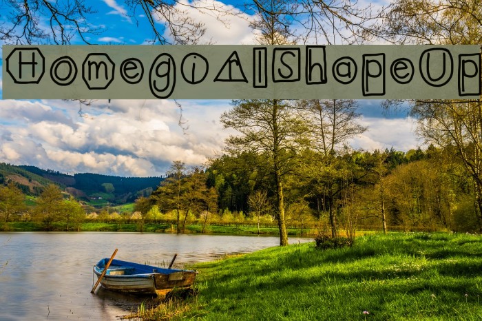 HomegirlShapeUp Example 1