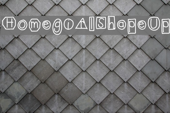 HomegirlShapeUp Example 2