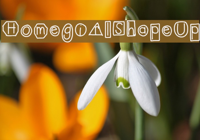 HomegirlShapeUp Example 3