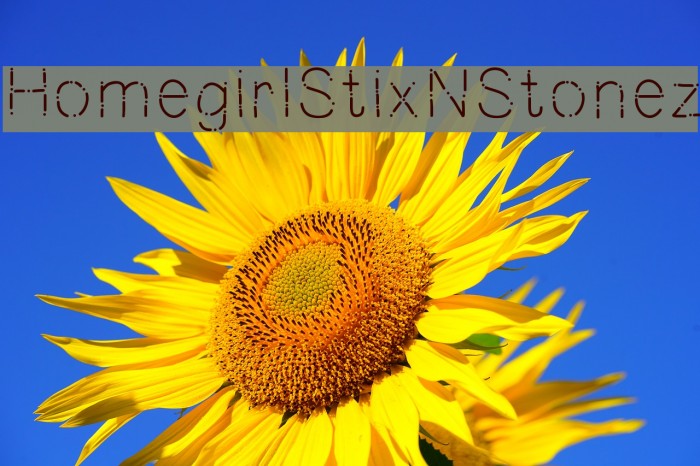 HomegirlStixNStonez Font examples