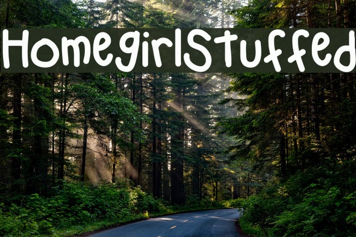 HomegirlStuffed Font examples