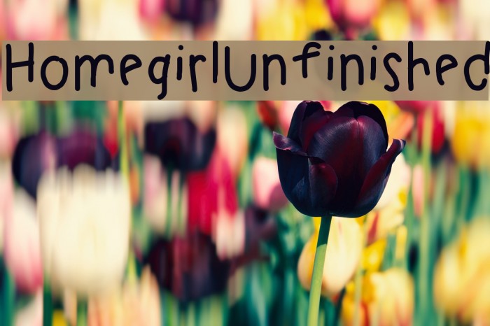 HomegirlUnfinished Font examples
