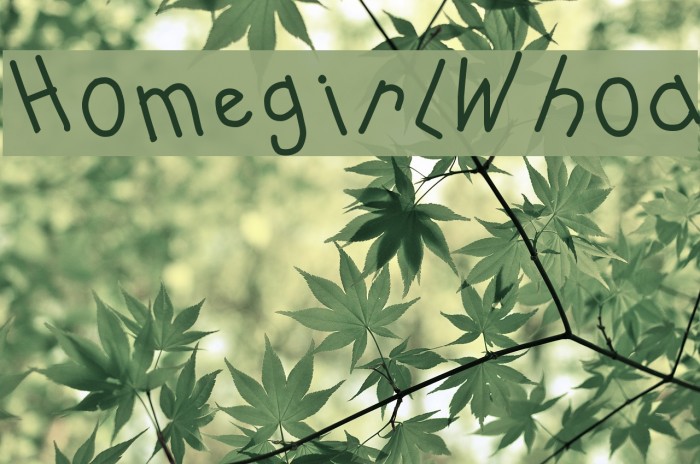 HomegirlWhoa Font examples
