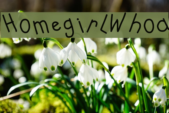 HomegirlWhoa Font examples