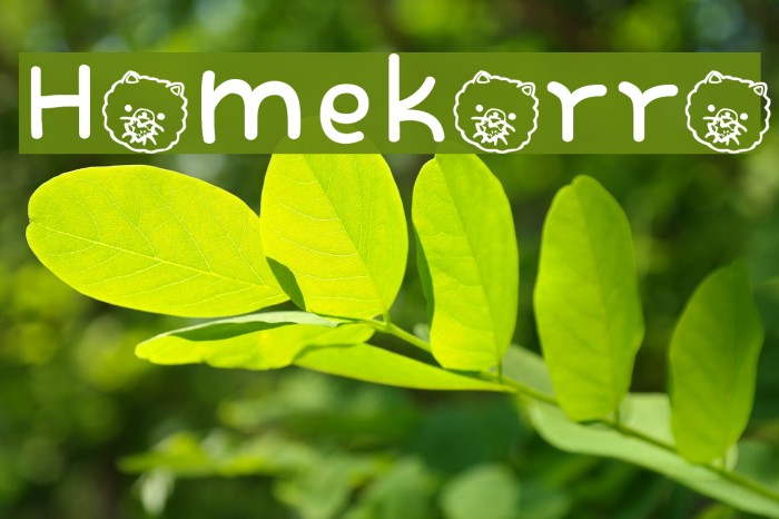 Homekorro Font examples