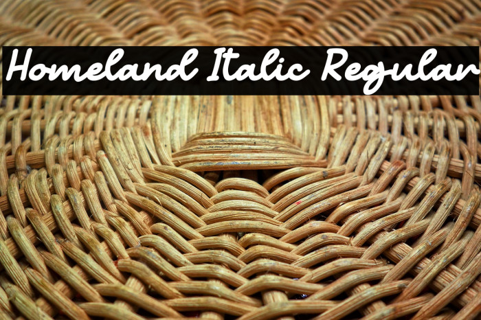 Homeland Italic Regular Example 1