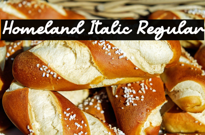 Homeland Italic Regular Example 2