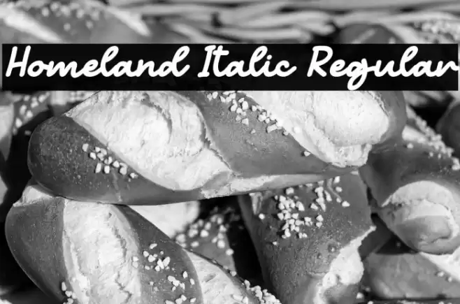 Homeland Italic Regular फ़ॉन्ट examples