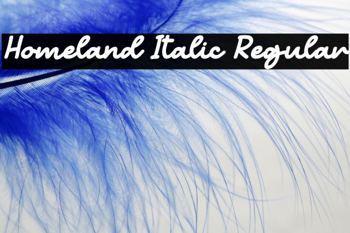 Homeland Italic Regular Example 3